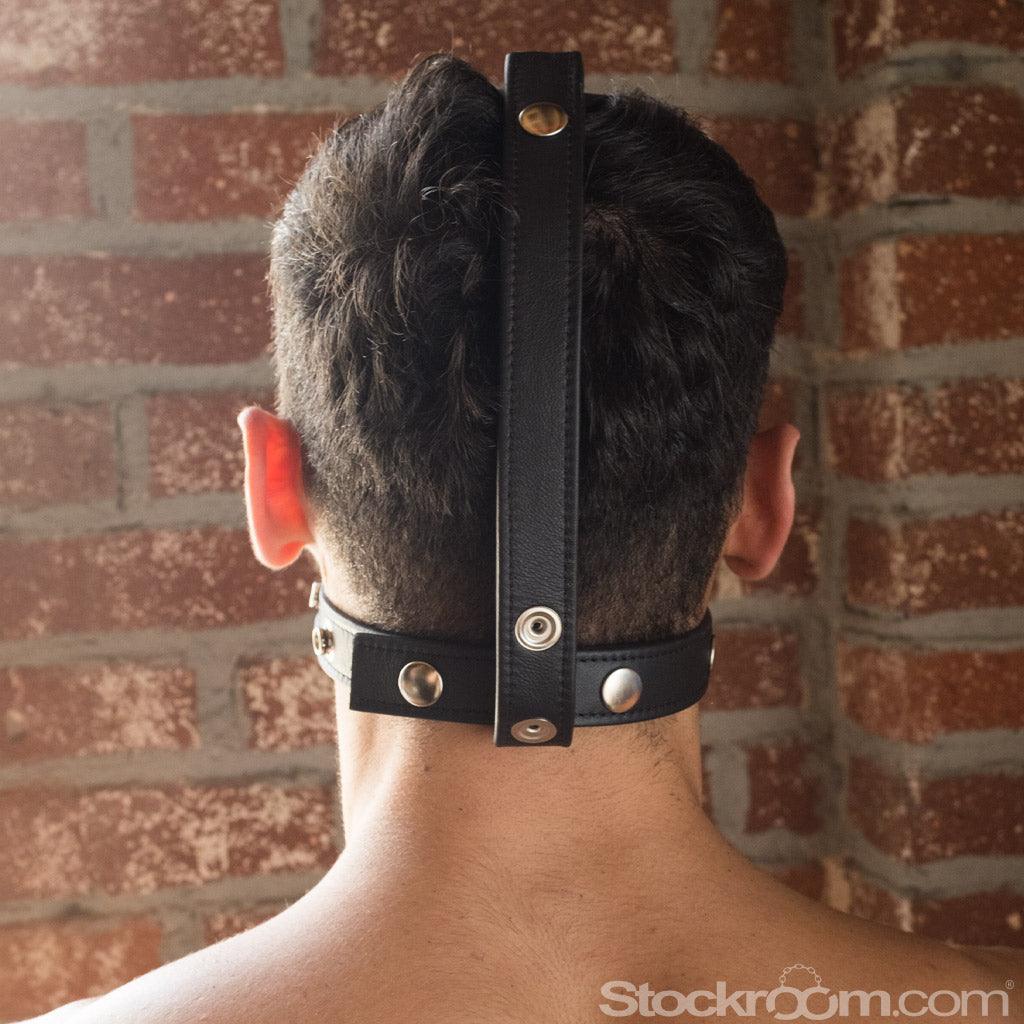 Head-On Harness