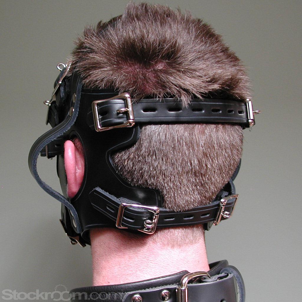 The Inescapable Head Handler Harness