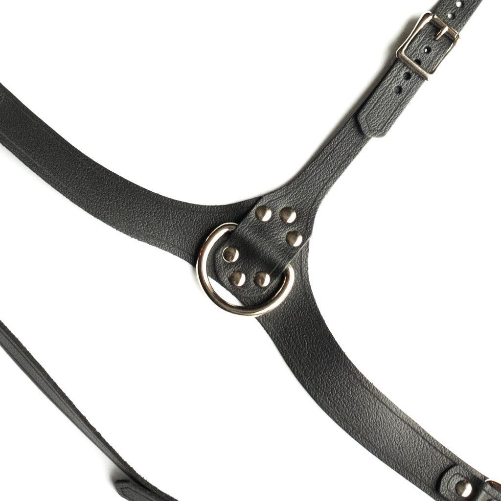 Full Curves Leather Bust Harness